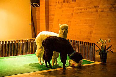 东方古风模拟经营游戏《筑城与探险》现已正式上线